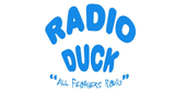 Radio Duck