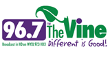 The Vine