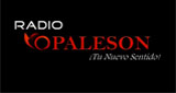 Radio VOPALESON