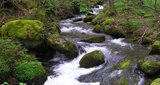 Ondas del Río Guarápas