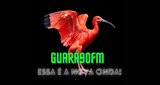 GUARÁ90FM