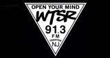 WTSR 91.3 FM