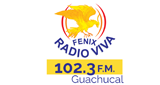 Radio Viva Fenix Guachucal 102.3 MHz