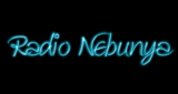 Radio Nebunya