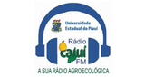 Rádio Cajuí