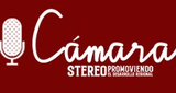 Cámara Stereo