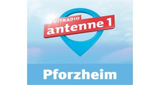 Hitradio antenne 1 Pforzheim Pforzheim 107.0 MHz