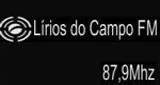 Rádio Lírios do Campo FM