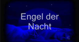 Engel der Nacht