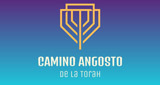 Camino Angosto de la Torah