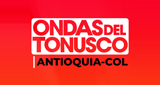 Ondas del Tonusco