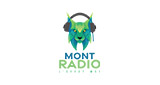 Mont Radio (École Mont-Saint-Sacrement)