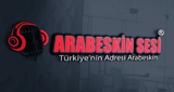 Arabeskinsesi FM