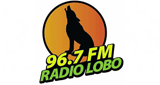 Radio Lobo Túxpam de Rodríguez Cano 96.7 MHz