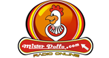 Mister Pollo