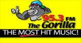 95.3 The Gorilla