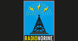 Radionorine