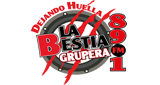 La Bestia Grupera Энсенада 89.1 MHz